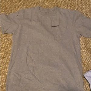 Patagonia Grey T-Shirt